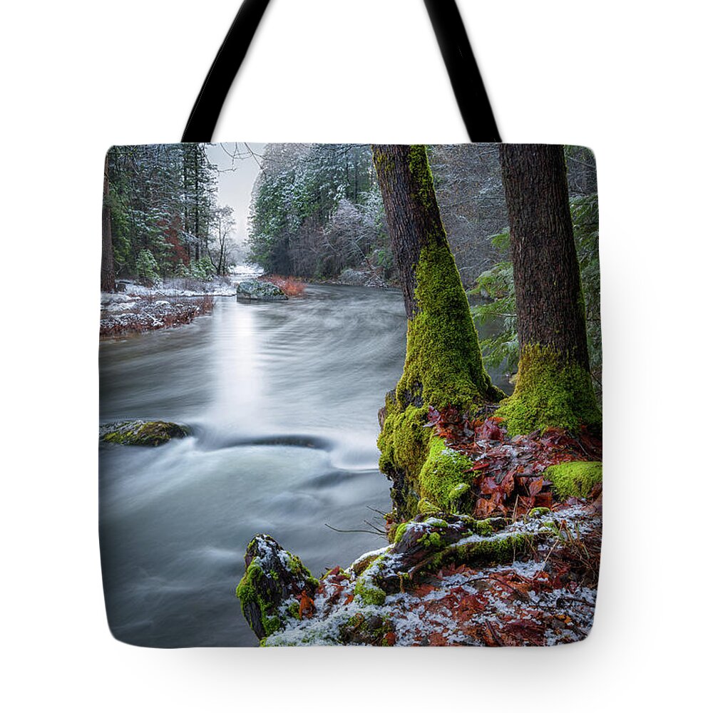 Yosemite Tote Bag featuring the photograph Morning Calm by Anthony Michael Bonafede