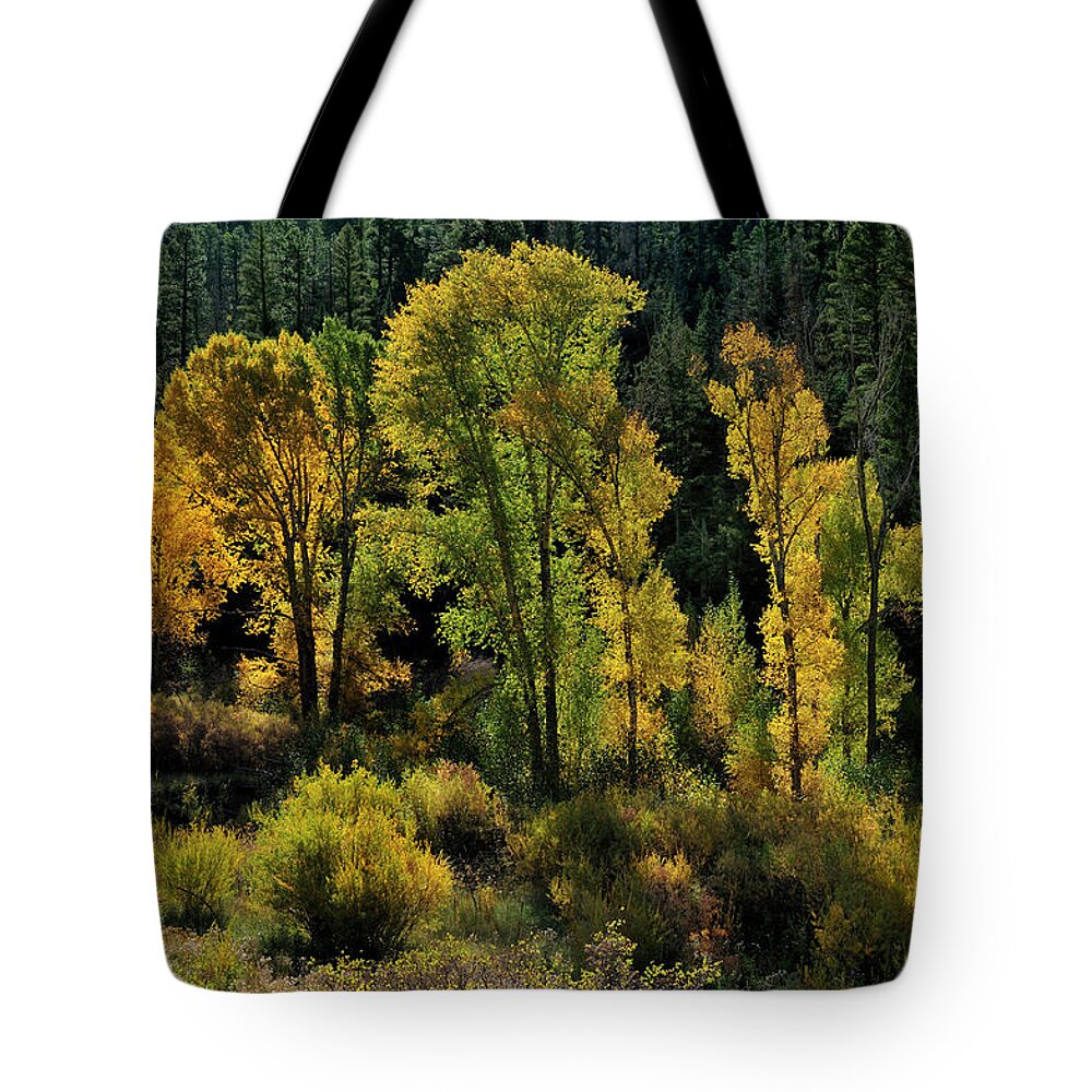Landscape Tote Bag featuring the photograph Morning Cottonwoods by Ron Cline