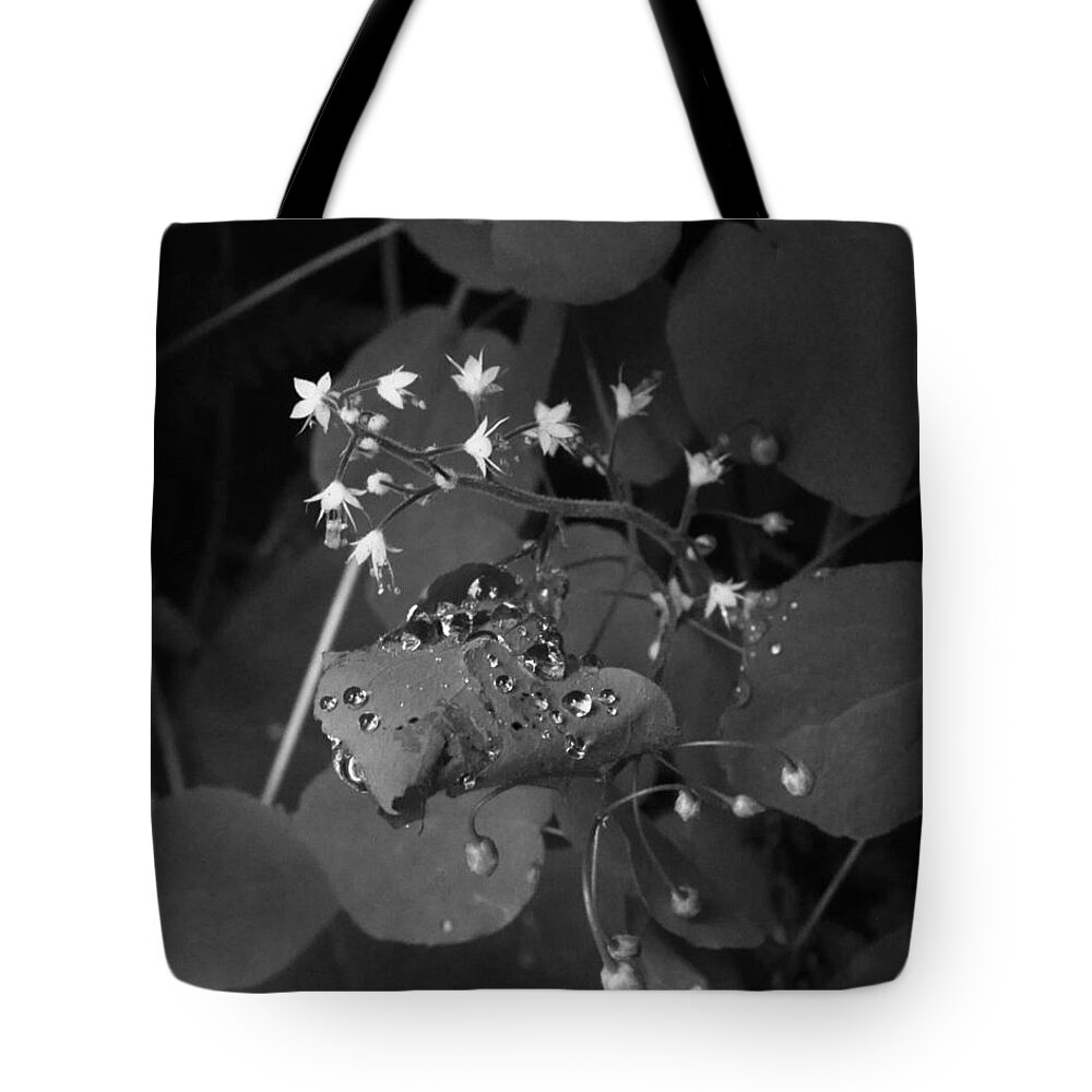 Nature Tote Bag featuring the photograph Morning Dew Drops and Flowers by Charles Lucas