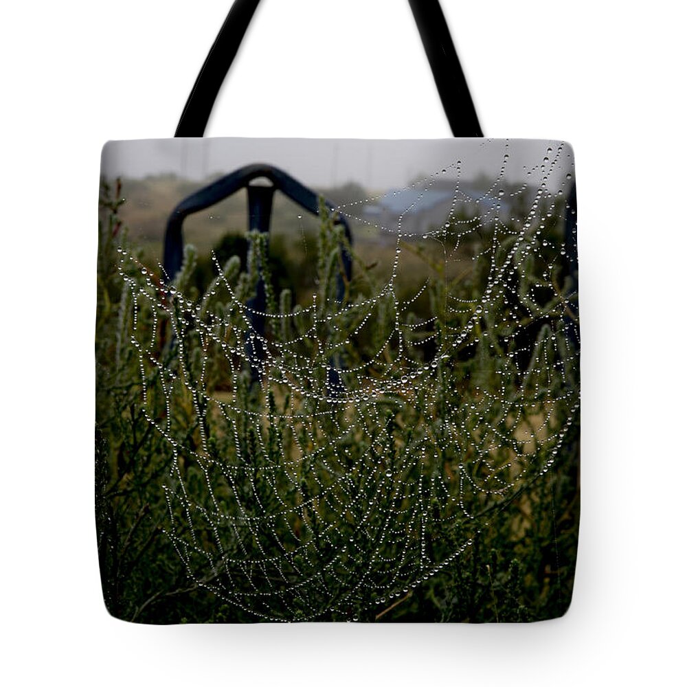 Morning Dew Tote Bag featuring the photograph Morning Dew on Spider Webs by Karen Slagle