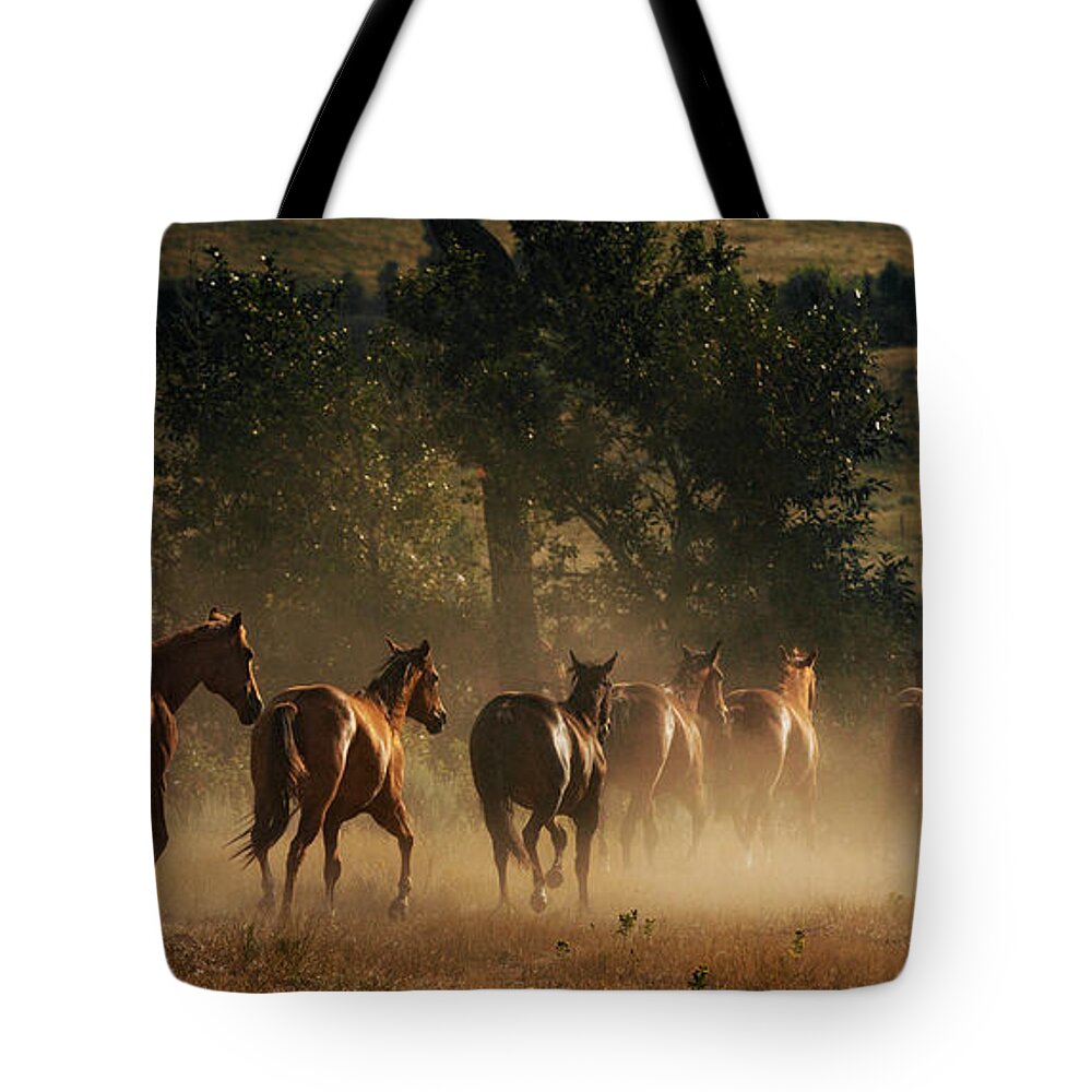 Terri Cage Photography Tote Bag featuring the photograph Morning Dust by Terri Cage