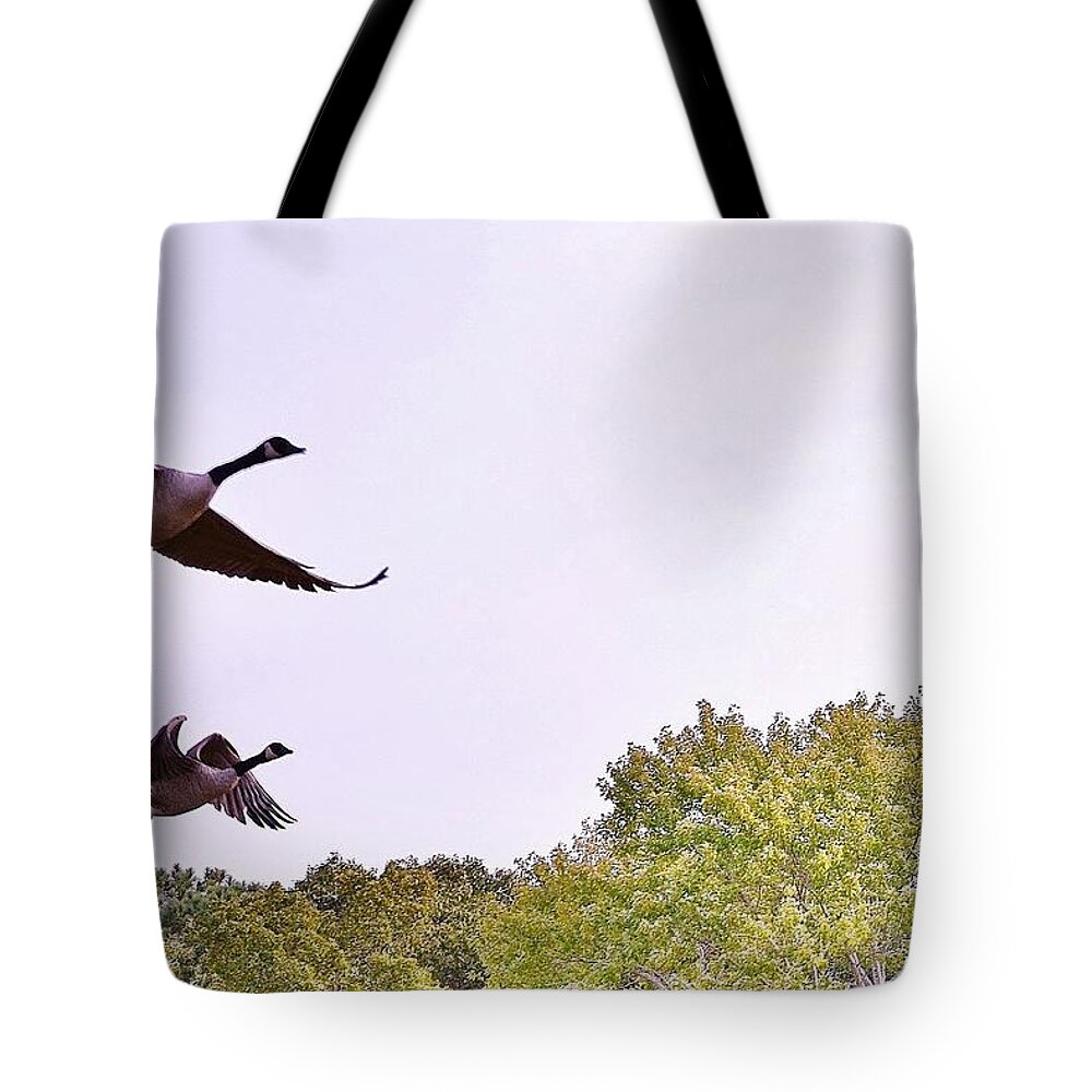 Geese Tote Bag featuring the photograph Morning Flight Geese by Kim Bemis