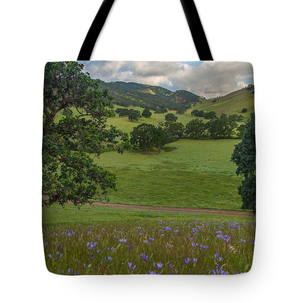 Landscape Tote Bag featuring the photograph Morning Flowers at Round Valley by Marc Crumpler