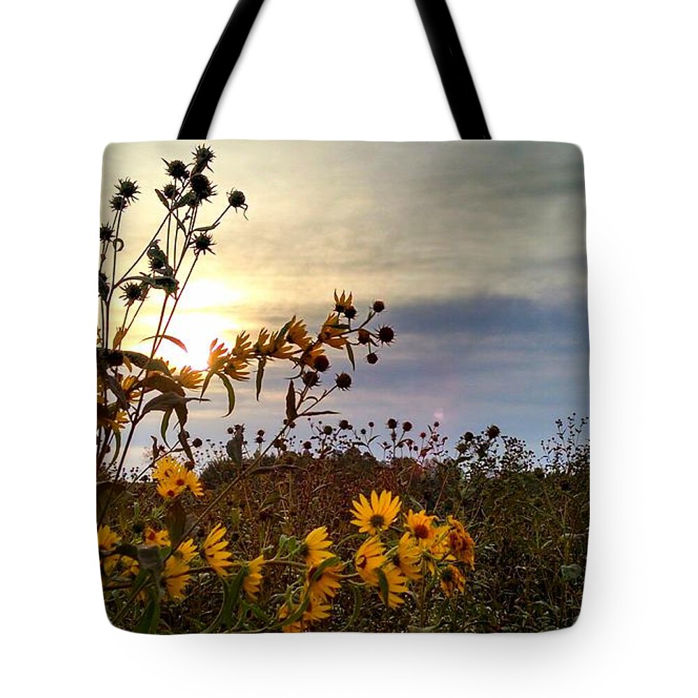 Sunrise Tote Bag featuring the photograph Morning Flowers by Brad Nellis