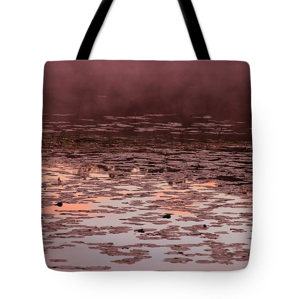 Bonnie Follett Tote Bag featuring the photograph Morning Fog in the Lily Patch in Mauve by Bonnie Follett