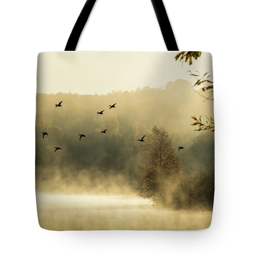 Haley Pond Tote Bag featuring the photograph Morning fog on Haley Pond in Rangeley Maine by Jeff Folger
