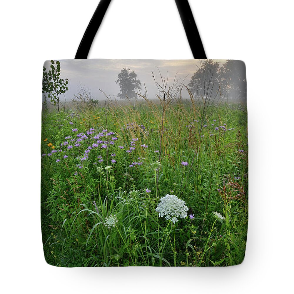 Black Eyed Susan Tote Bag featuring the photograph Morning Fog over Glacial Park Prairie by Ray Mathis
