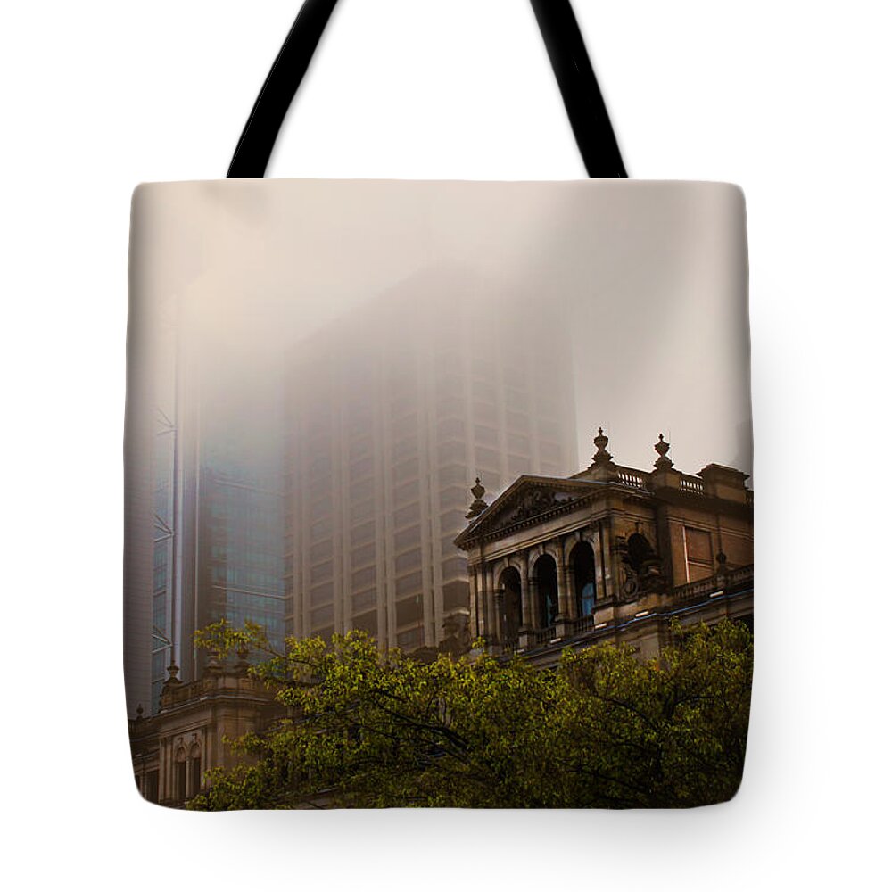 Treasury Tote Bag featuring the photograph Morning Fog over the Treasury by Susan Vineyard