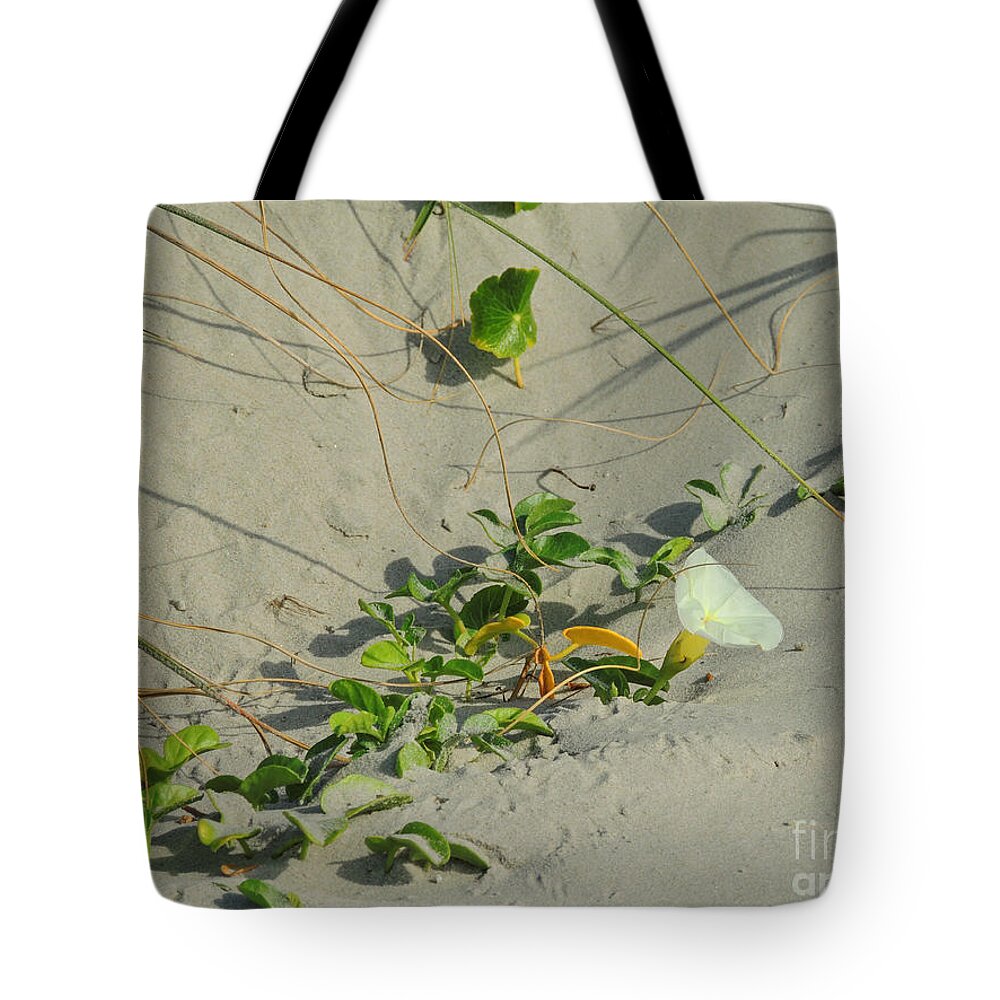 Flower Tote Bag featuring the photograph Morning Glory at The Beach by Mim White