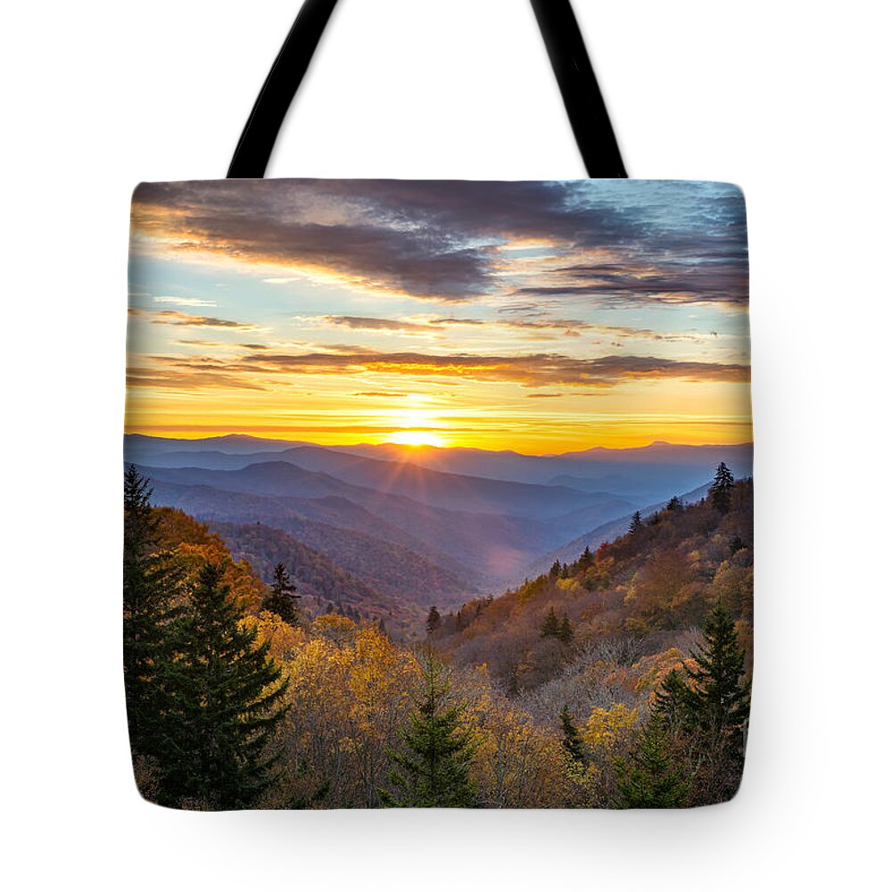 Smoky Mountains Tote Bag featuring the photograph Morning Gold by Anthony Heflin