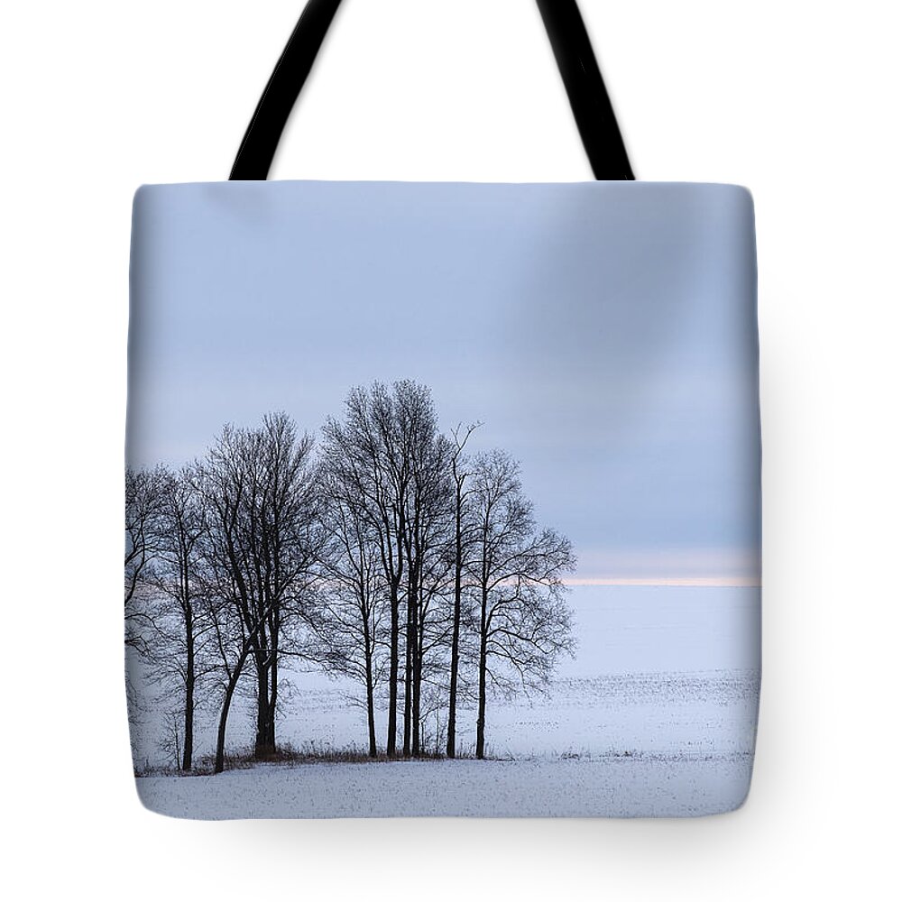 Winter Tote Bag featuring the photograph Morning Grace by Joann Long