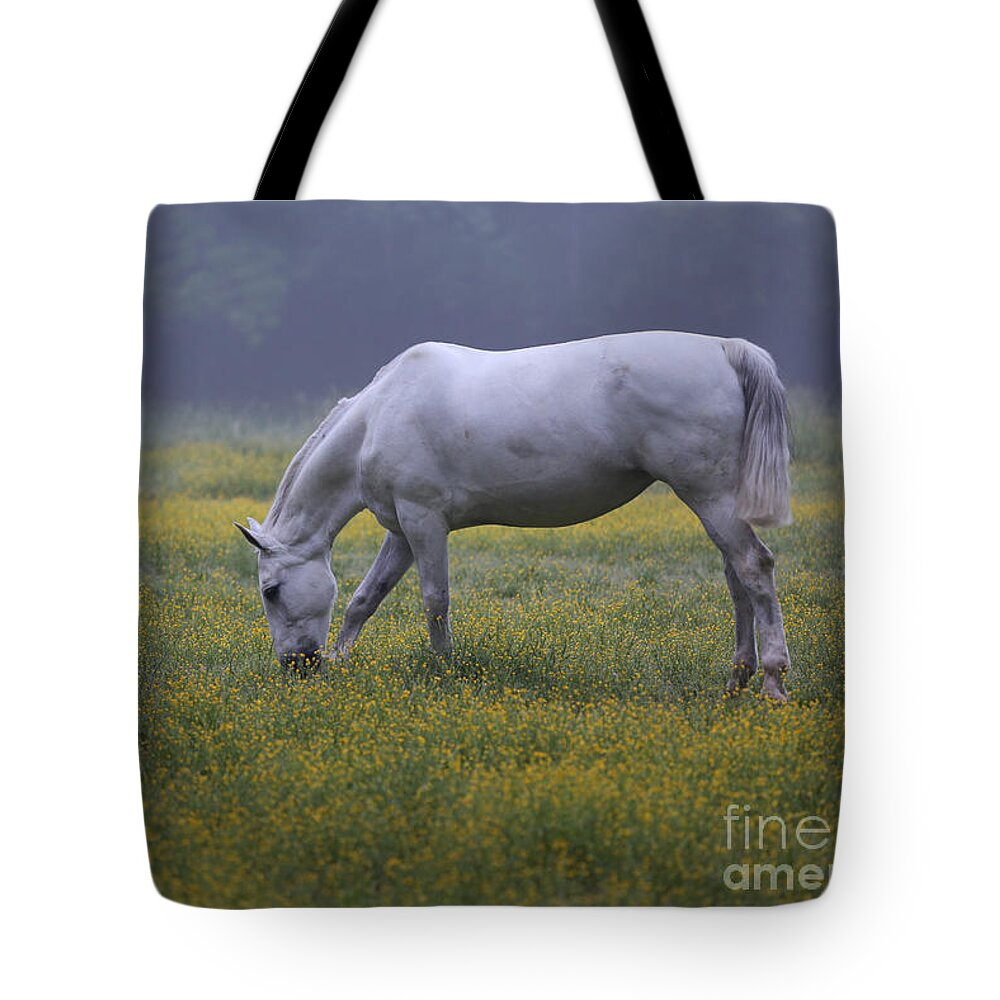 Colonial Williamsburg Tote Bag featuring the photograph Morning in May by Lara Morrison