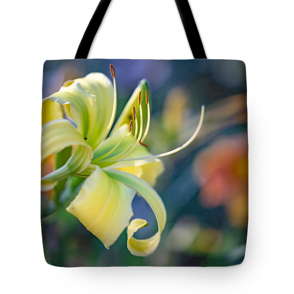 Daylily Tote Bag featuring the photograph Morning Light by Ches Black