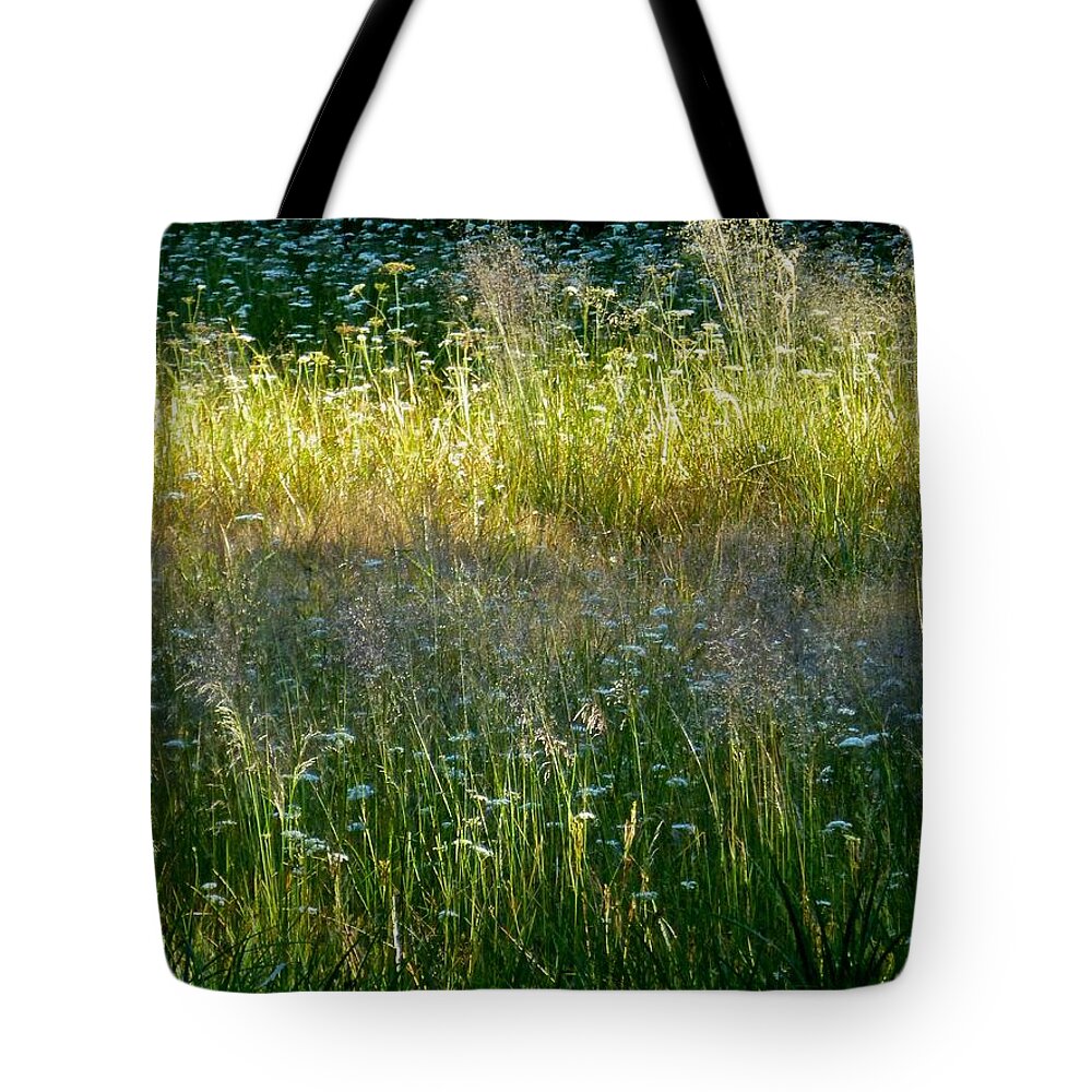 Grant Meadow Tote Bag featuring the photograph Morning light on Grant Meadow by Amelia Racca