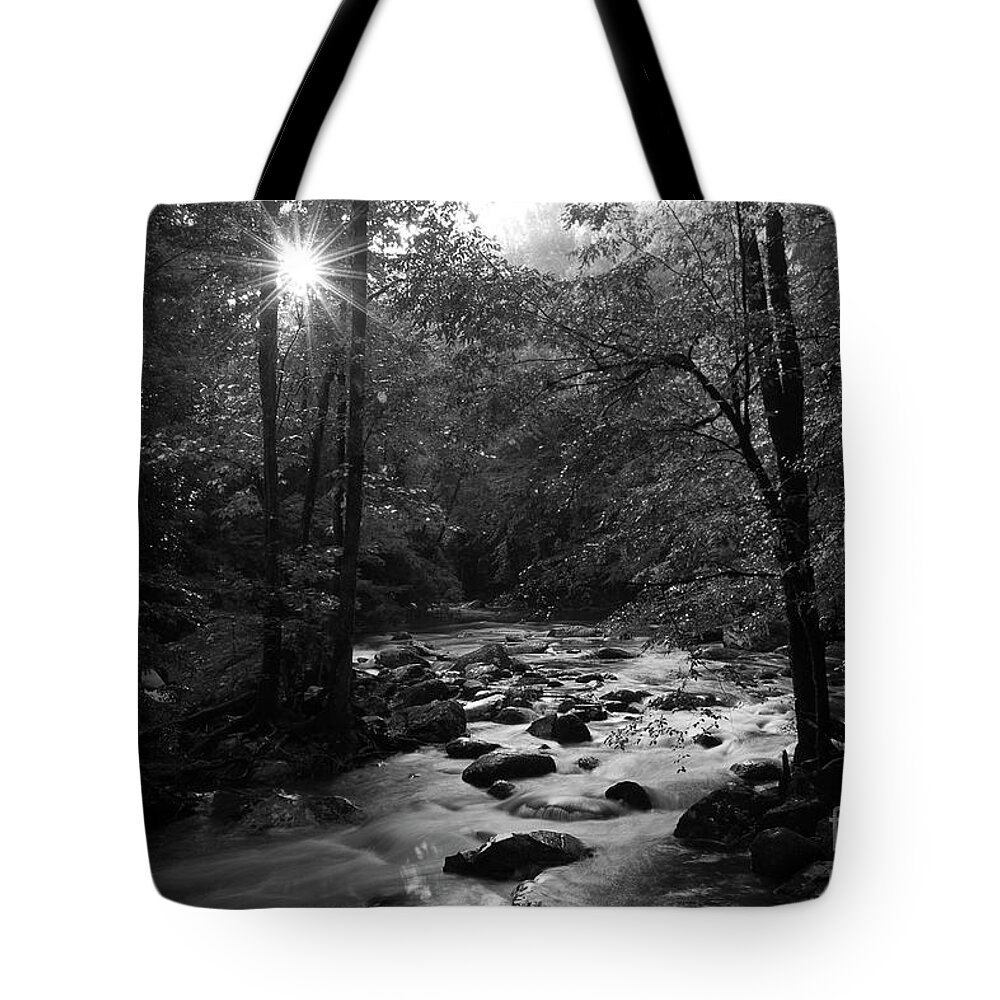 River Tote Bag featuring the photograph Morning Light On The Stream by Mike Eingle