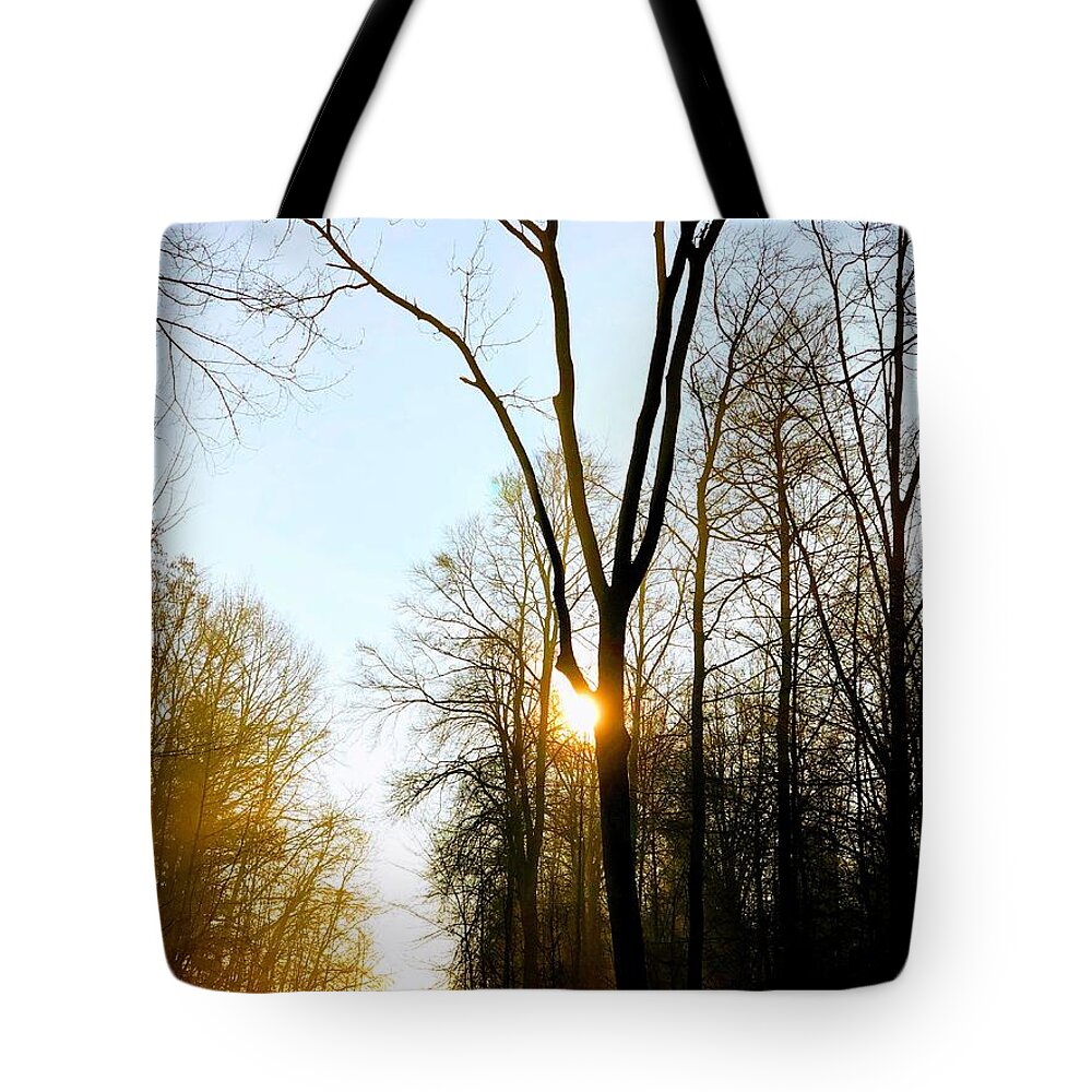 Tree Tote Bag featuring the photograph Morning mood in the forest by Matthias Hauser