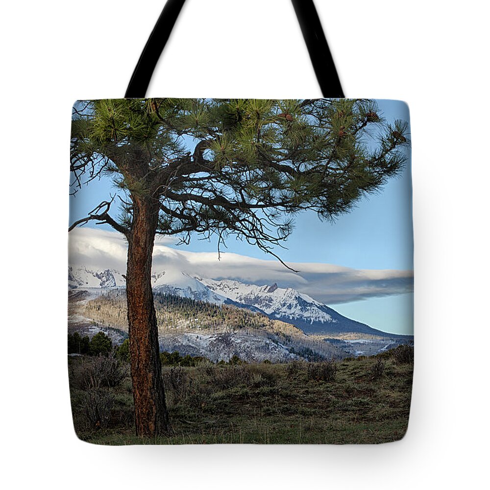 Moon Tote Bag featuring the photograph Morning Moon by Denise Bush