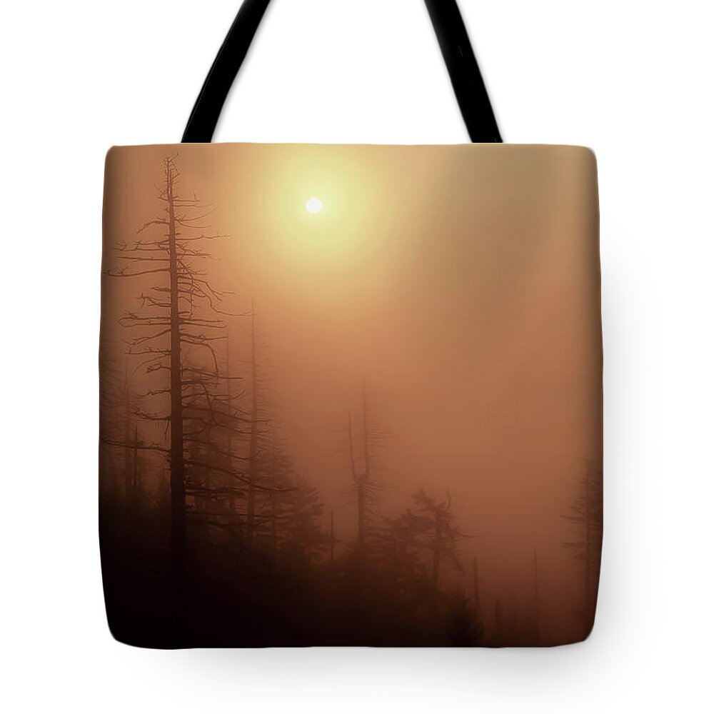 Fog Scene Tote Bag featuring the photograph Morning On The Mountain by Mike Eingle
