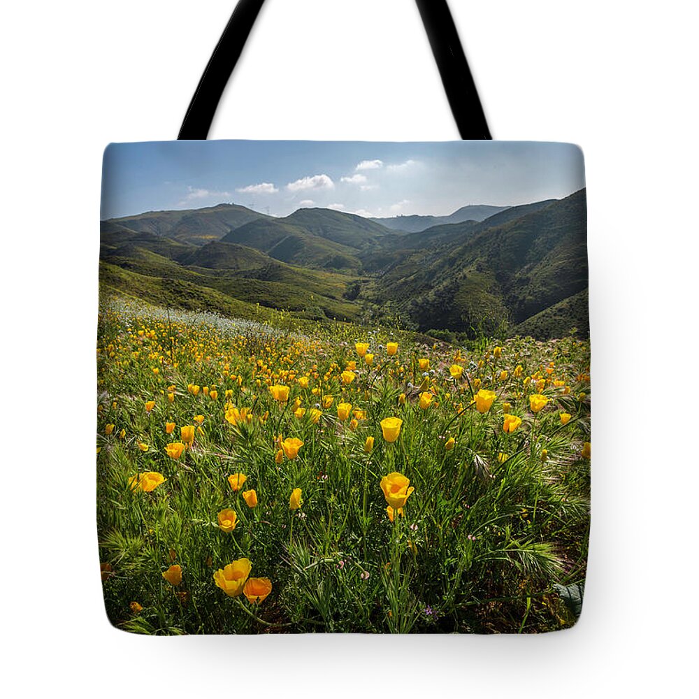 Landscape Tote Bag featuring the photograph Morning Poppy Hillside by Scott Cunningham