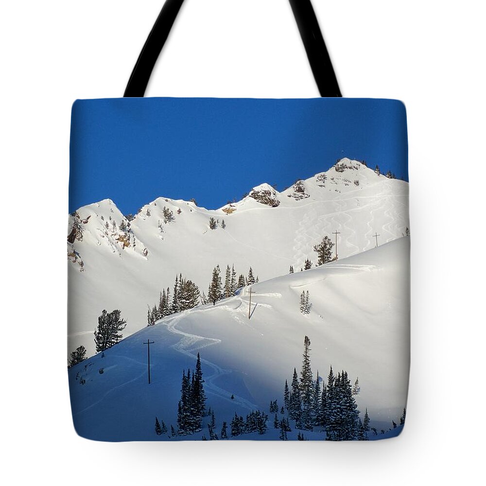 Ski Tote Bag featuring the photograph Morning Pow Wow by Michael Cuozzo