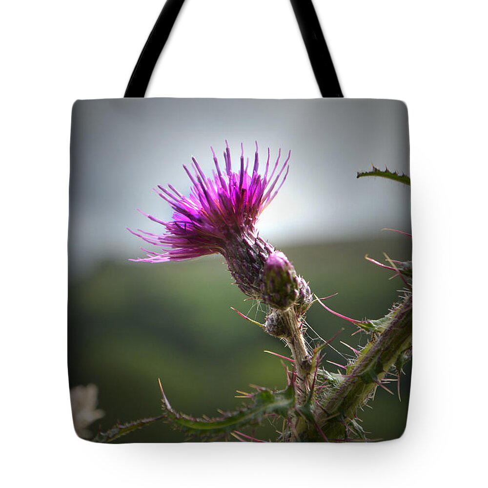 Thistle Tote Bag featuring the photograph Morning Purple Thistle. by Terence Davis