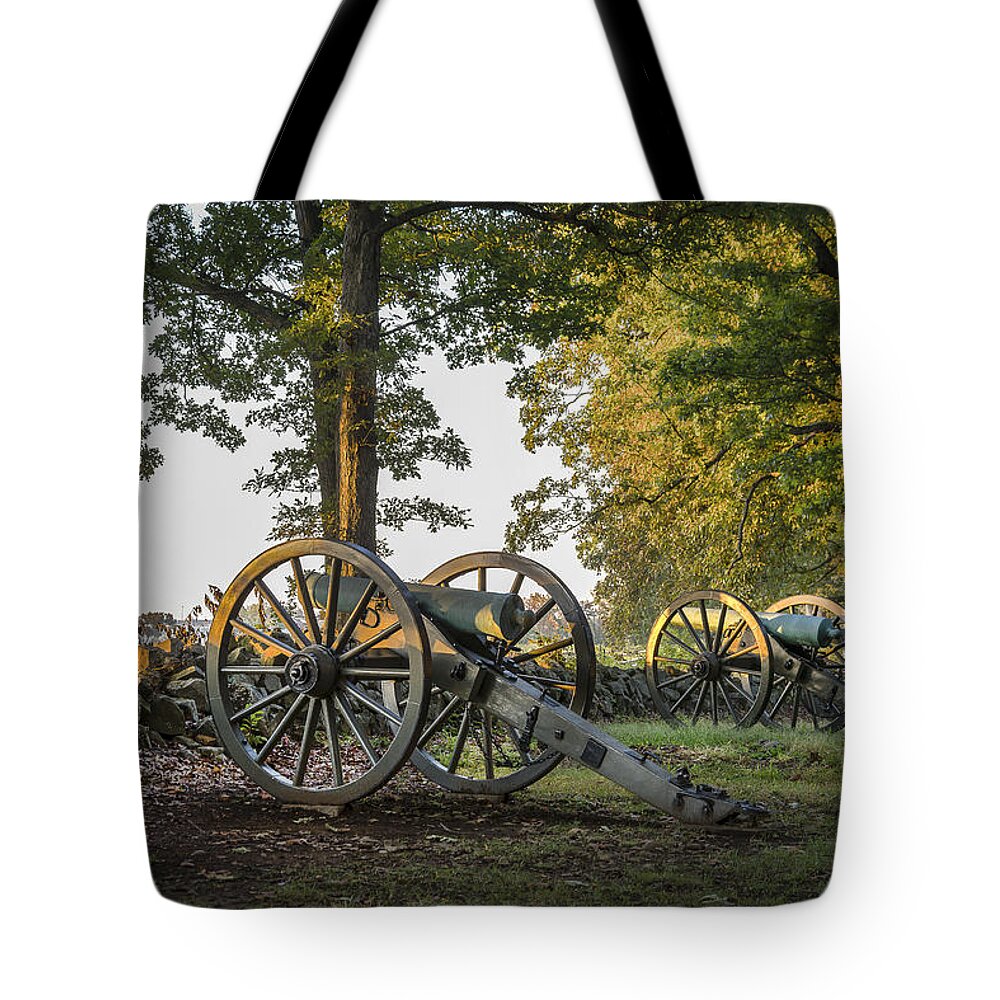 Landscape Tote Bag featuring the photograph Morning Sentinel by Andy Smetzer