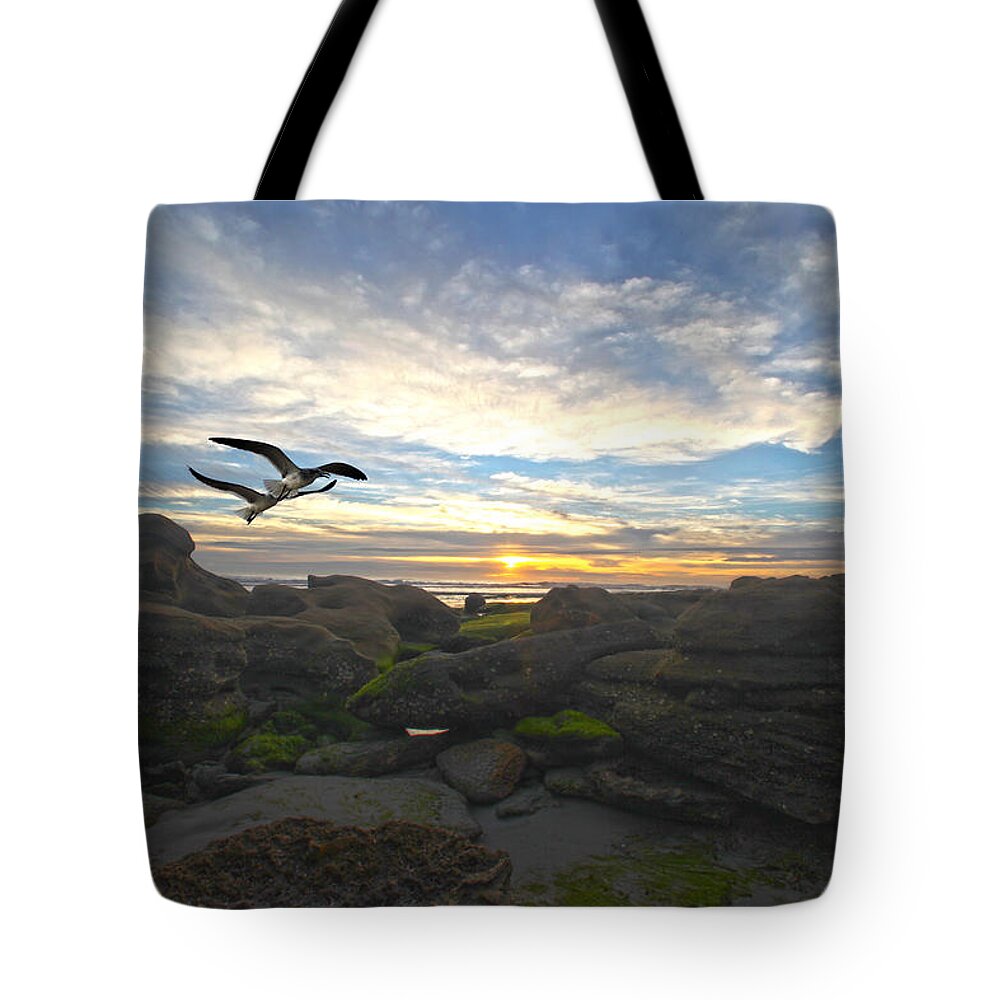 Star Tote Bag featuring the photograph Morning Song by Robert Och