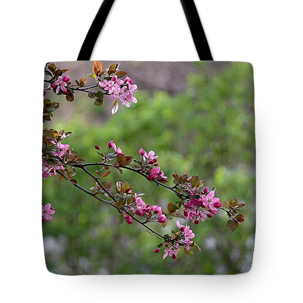 Flowering Crabapple Tote Bag featuring the photograph Morning Stretch by Yumi Johnson