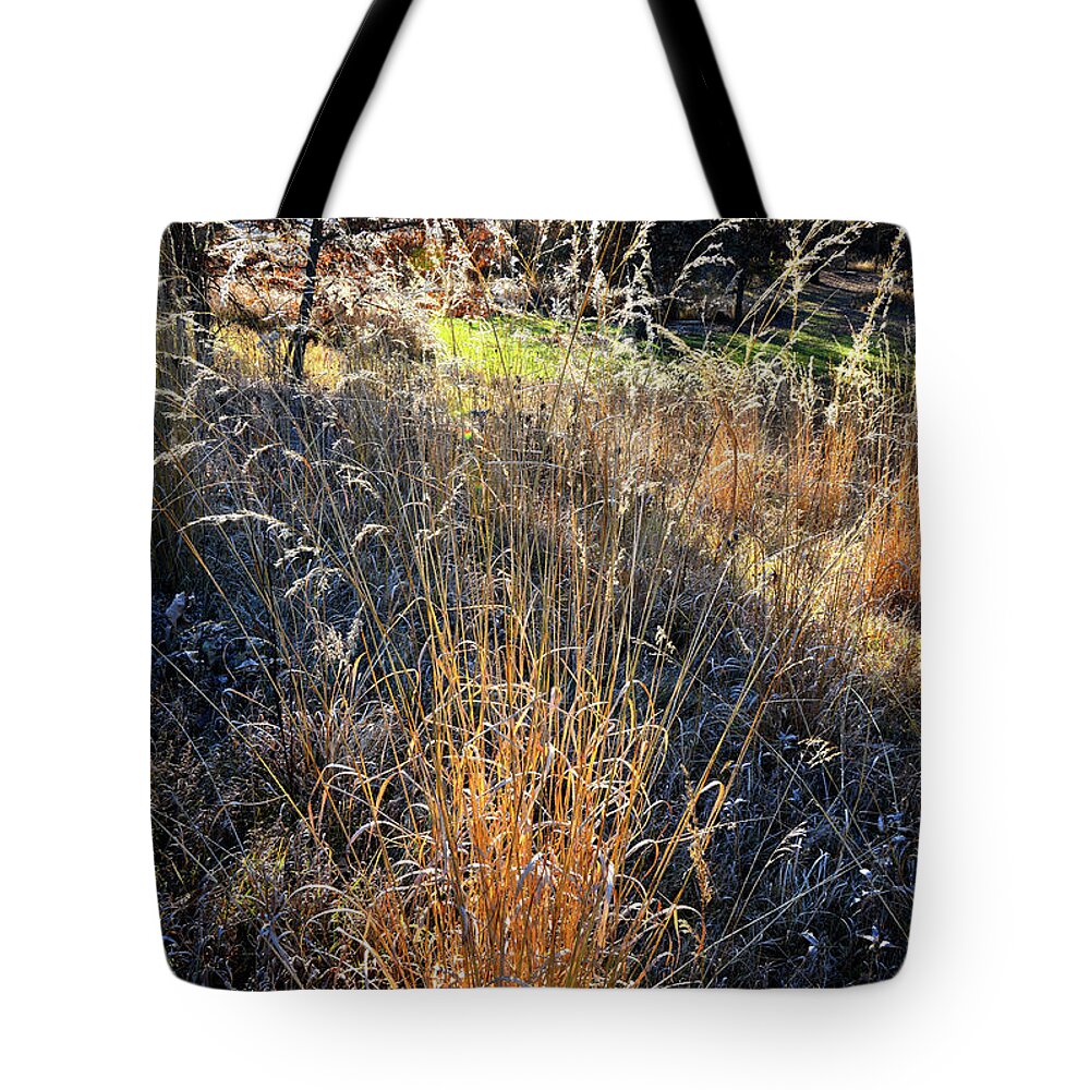 Glacial Park Tote Bag featuring the photograph Morning Sun Backlights Fall Grasses in Glacial Park by Ray Mathis