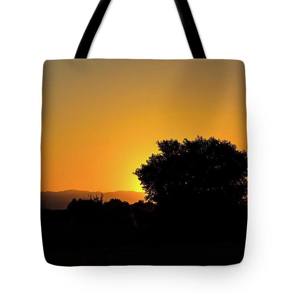 Sunrise Tote Bag featuring the photograph Morning Sunshine by Douglas Killourie