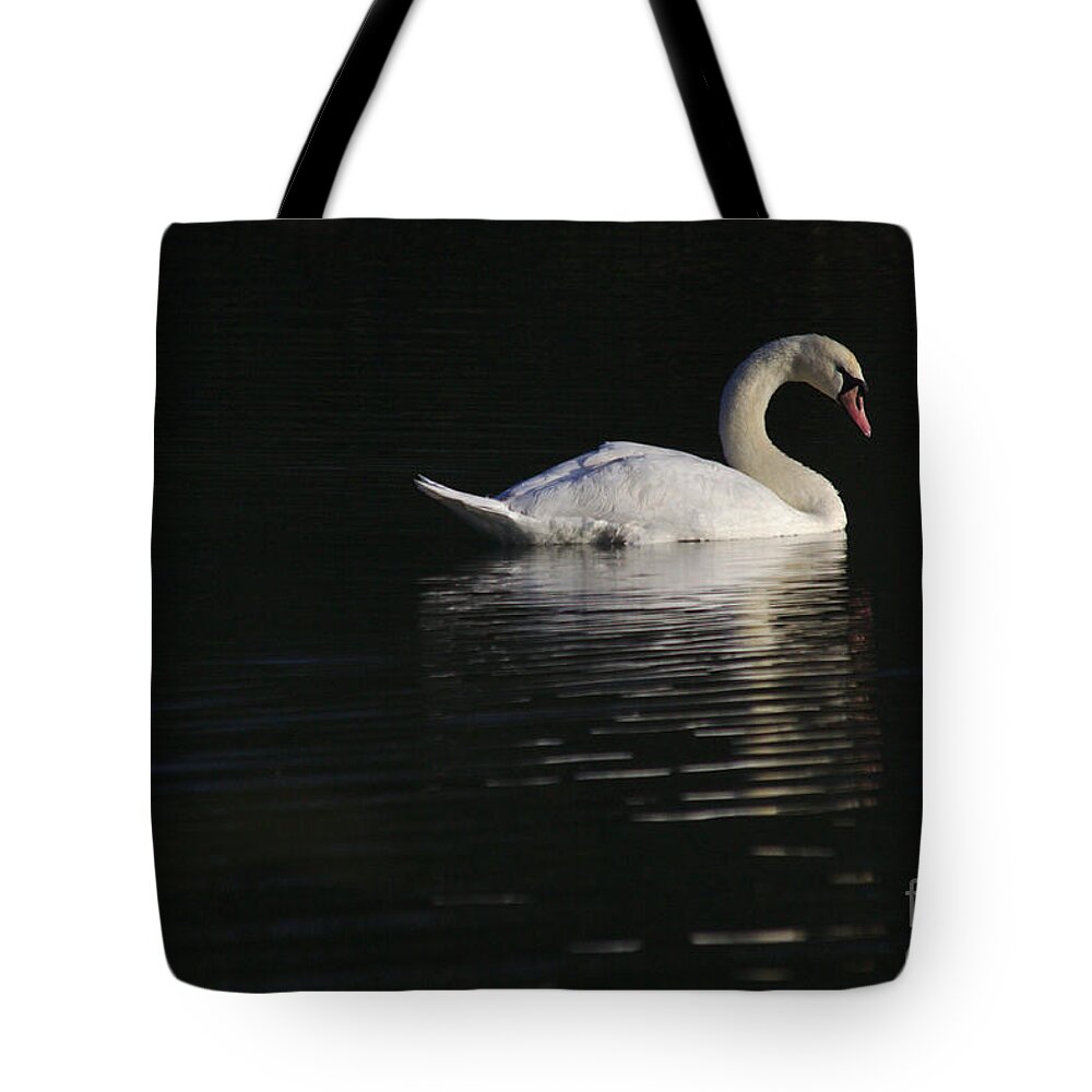 St James Lake Tote Bag featuring the photograph Morning Swan by Jeremy Hayden