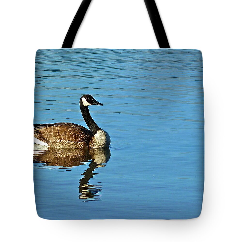 Birds Tote Bag featuring the photograph Morning Swim by Diana Hatcher