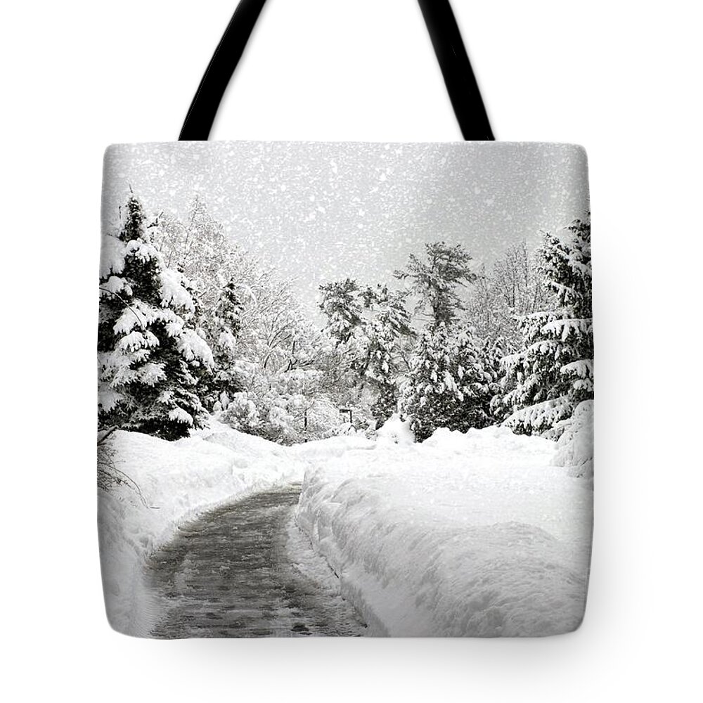  Landscape Tote Bag featuring the photograph Morning View by Marcia Lee Jones