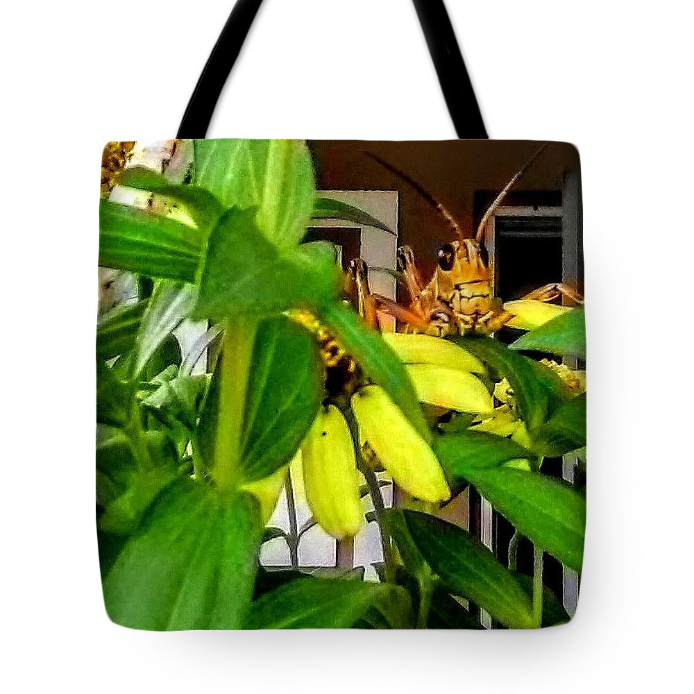 Insect Tote Bag featuring the photograph Morning Visitor by Suzanne Berthier