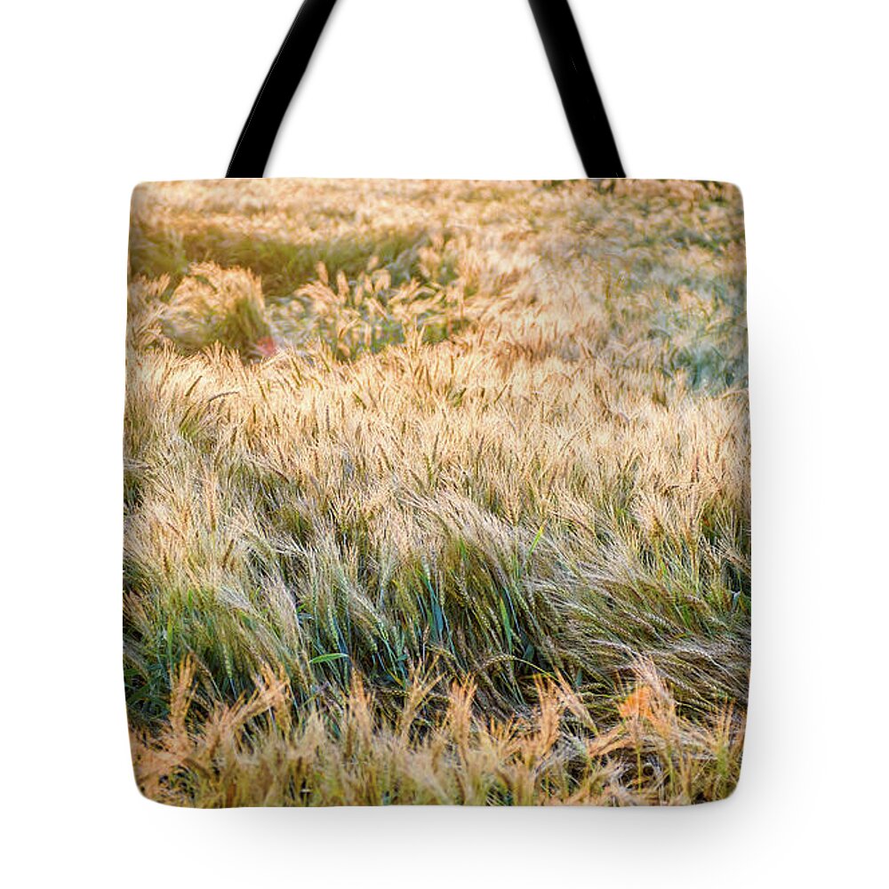 Landscape Tote Bag featuring the photograph Morning Wheat by Joe Shrader
