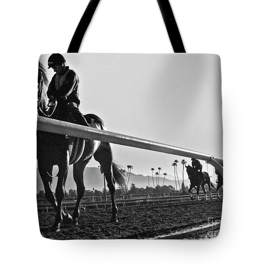 Horses Tote Bag featuring the photograph Morning Workout by Tom Griffithe