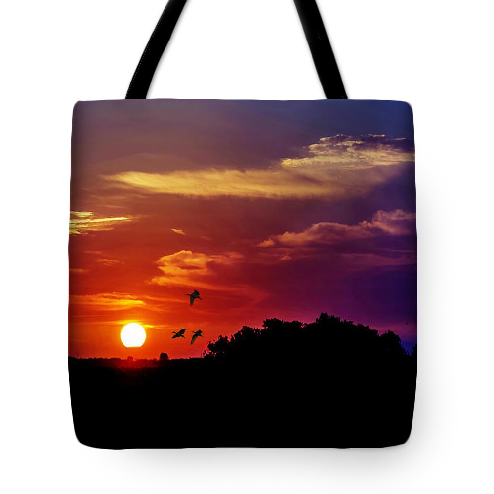 Florida Tote Bag featuring the photograph Morning Silhouette by Rogermike Wilson