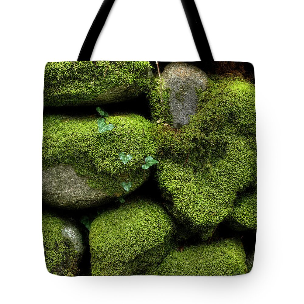 Moss Tote Bag featuring the photograph Moss And Ivy by Mike Eingle