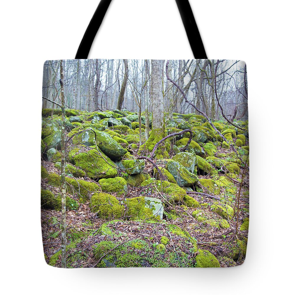 Rocks Tote Bag featuring the photograph Moss - Gatlinburg by Lindsey Weimer
