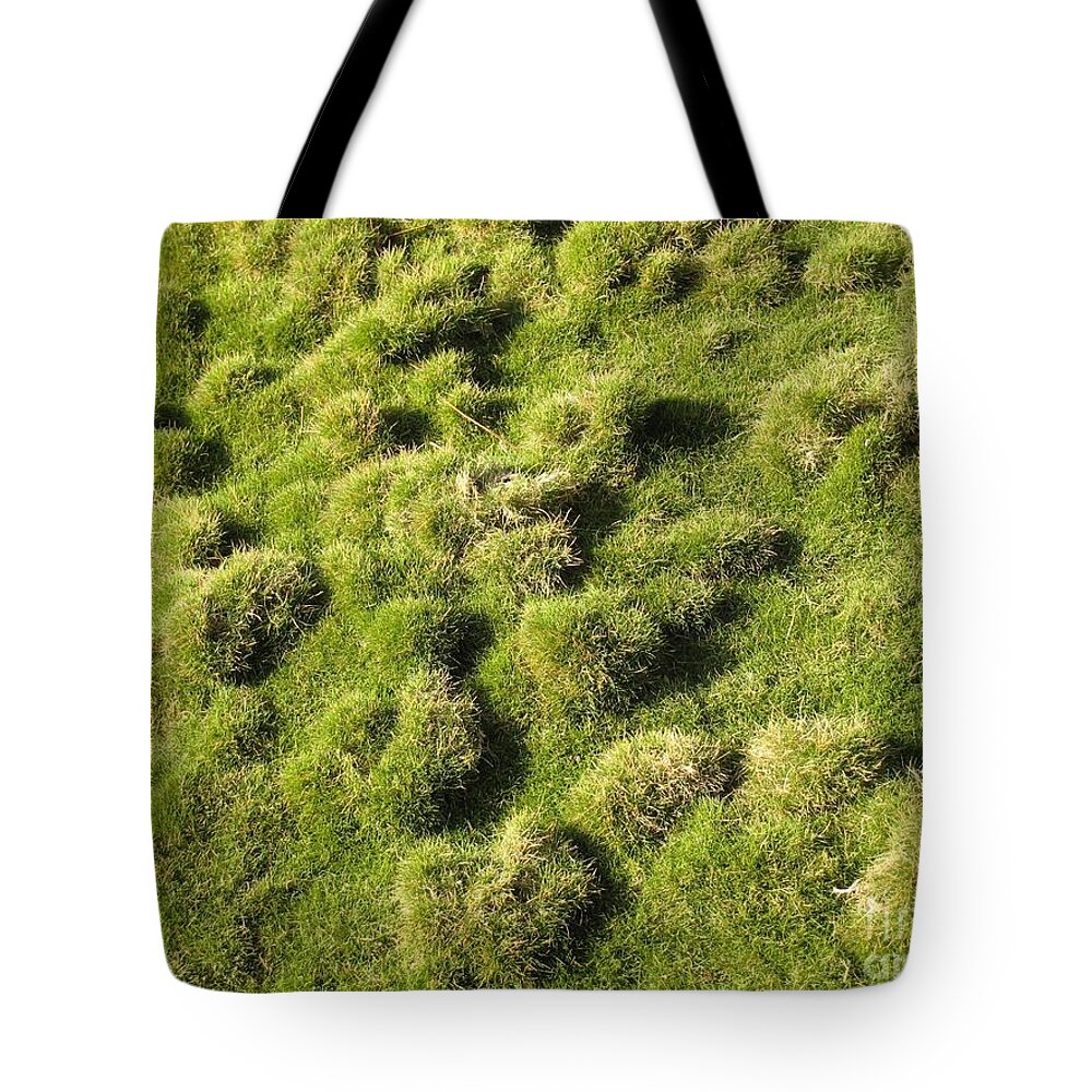 Moss Tote Bag featuring the photograph Moss by Glenda Zuckerman
