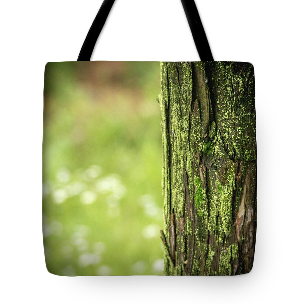 Tree Tote Bag featuring the photograph Moss by Hyuntae Kim