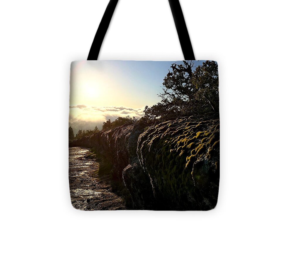 California Tote Bag featuring the photograph Moss Landing by Paul Foutz
