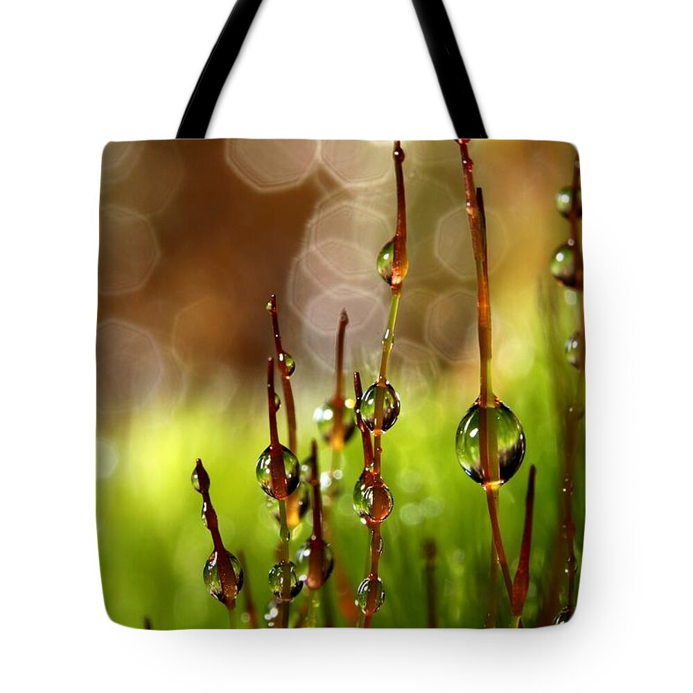 Moss Tote Bag featuring the photograph Moss Sparkles by Sharon Johnstone