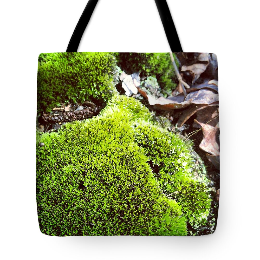 Moss Tote Bag featuring the photograph Moss by Will Felix