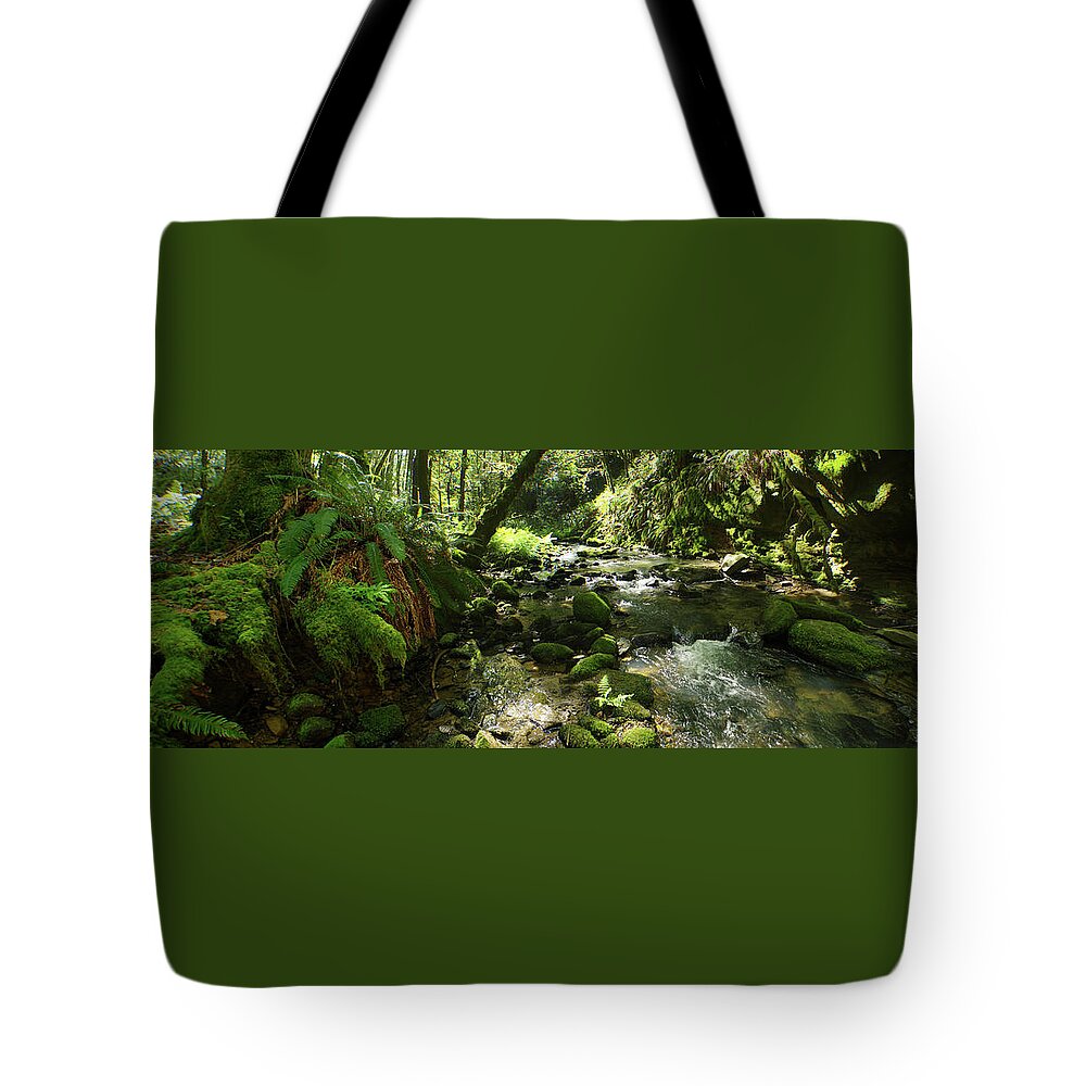 Adria Trail Tote Bag featuring the photograph Mossy Banks by Adria Trail
