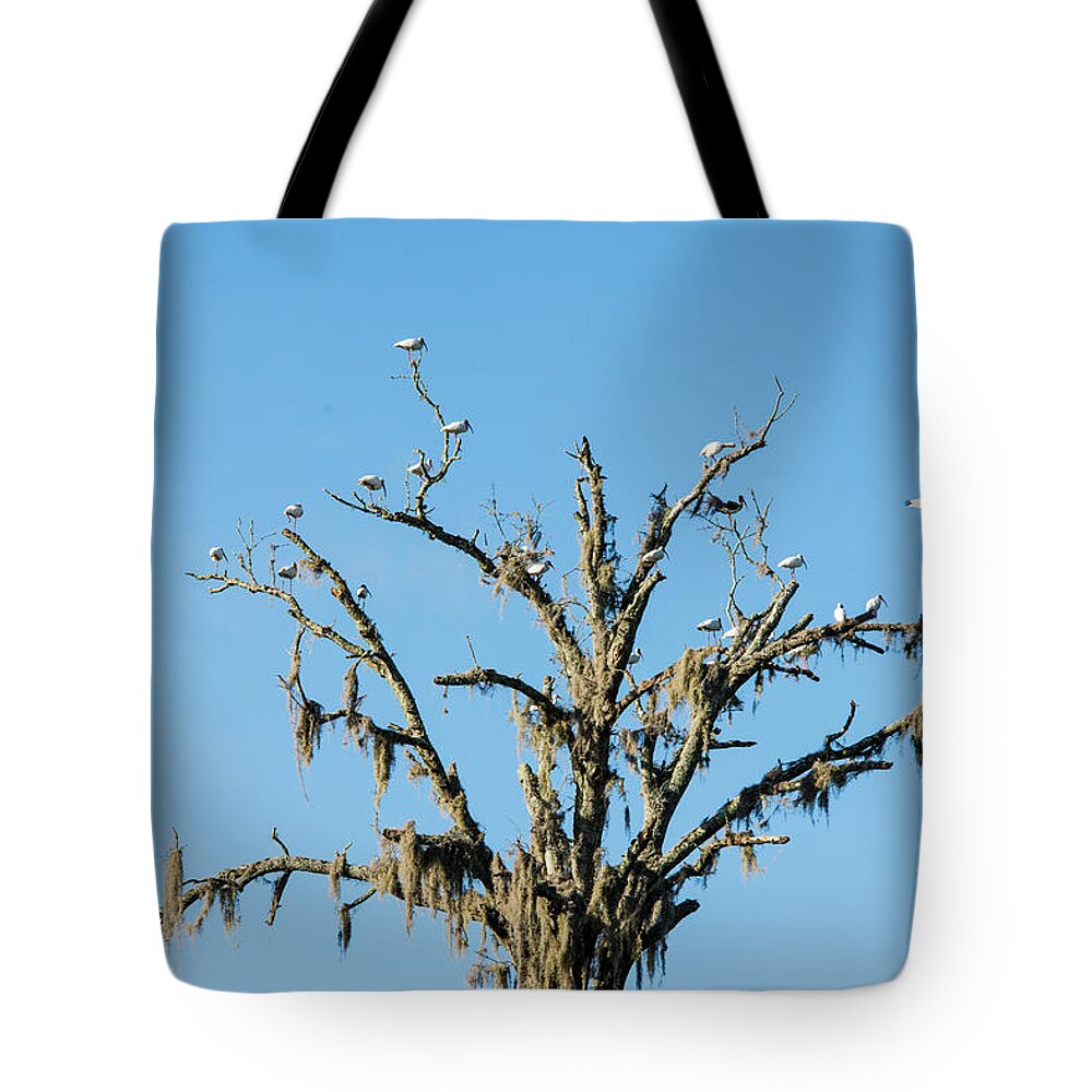 Birds Tote Bag featuring the photograph Mossy Landing by Valerie Cason