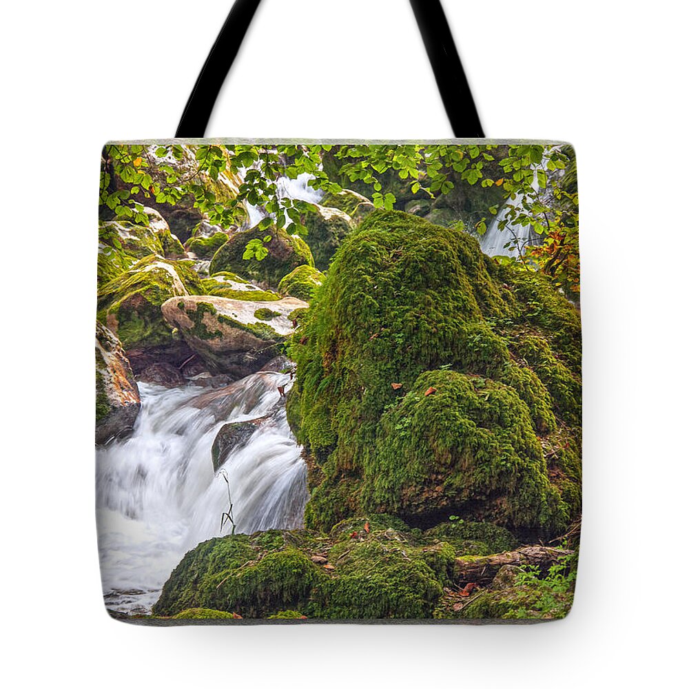 Switzerland Tote Bag featuring the photograph Mossy Rock Creek by Hanny Heim