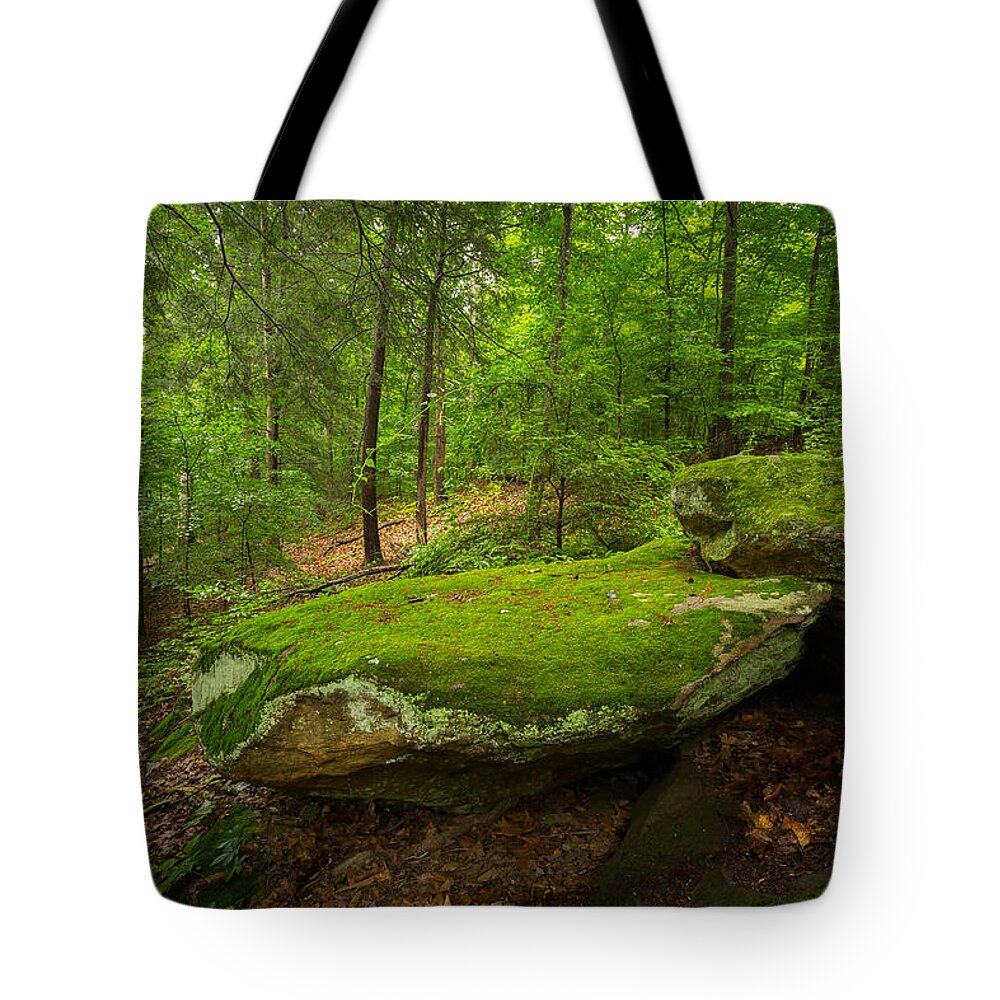 Moss Tote Bag featuring the photograph Mossy Rocks In Little Creek Park by Shane Holsclaw