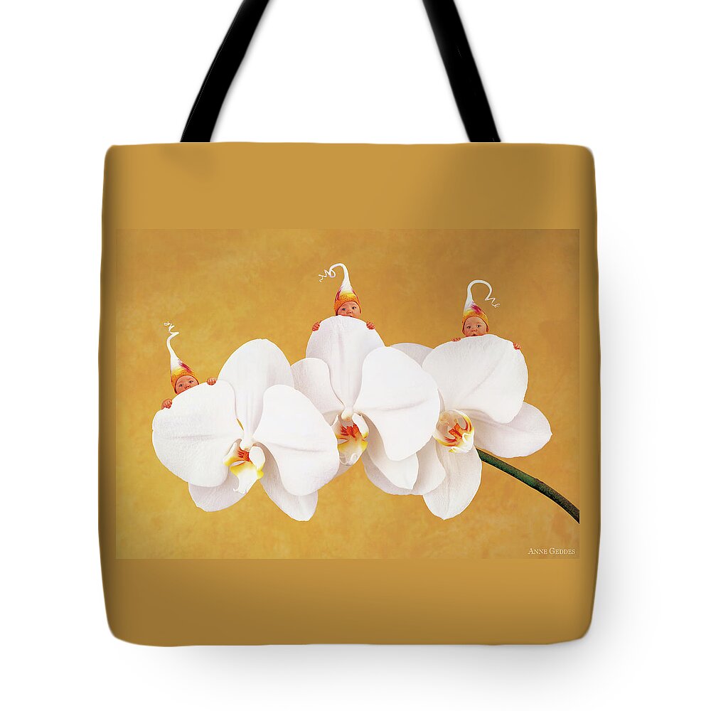 Triplets Tote Bag featuring the photograph Moth Orchid by Anne Geddes