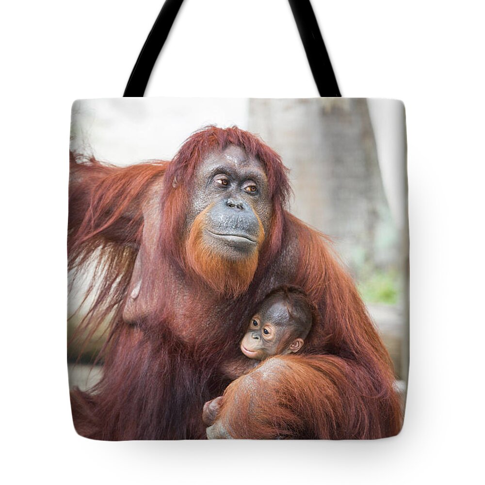 Mother Tote Bag featuring the photograph Mother and Child by Fran Gallogly